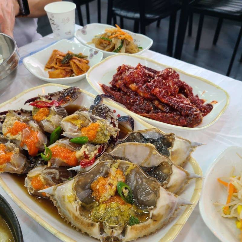 거북이 몰 이미지