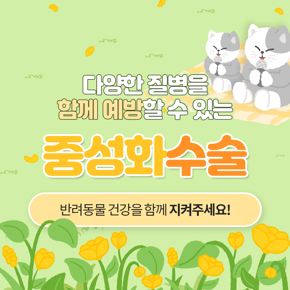 소나무병원 이미지