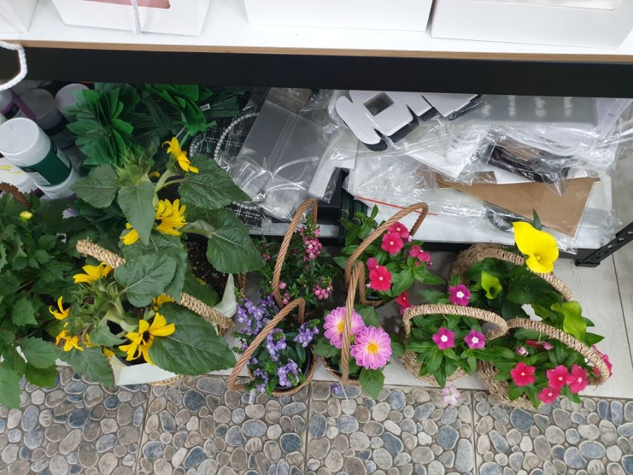 꽃을닮다 이미지