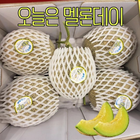 곡성청과 이미지