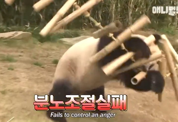 백스토어 이미지
