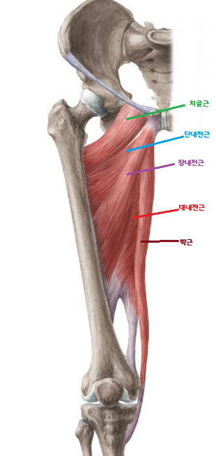 초월헬스 이미지