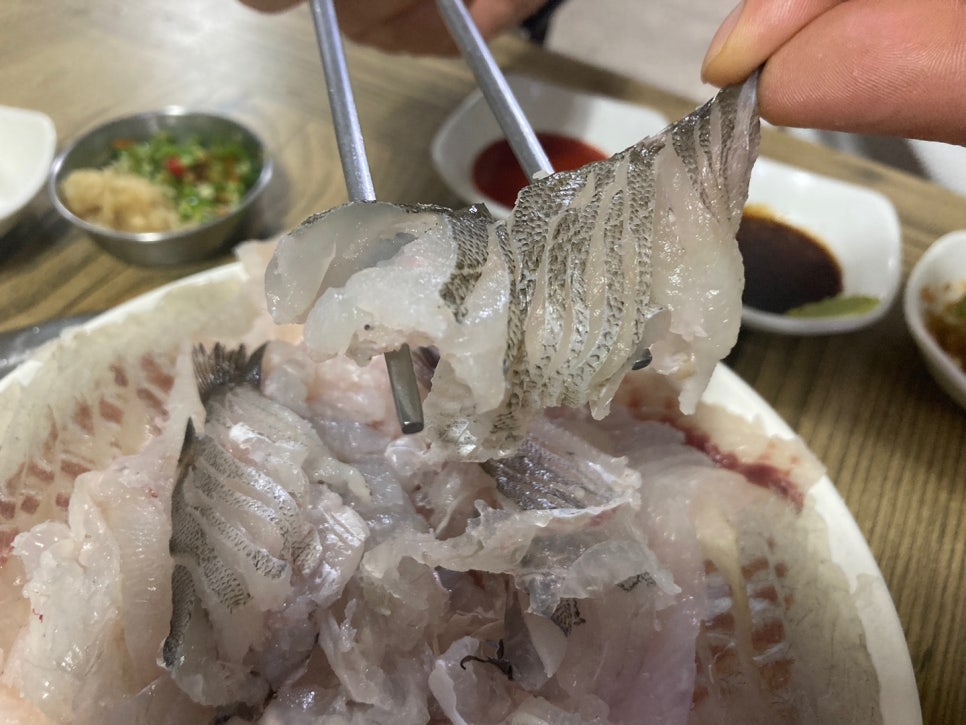 돼지사랑 이미지