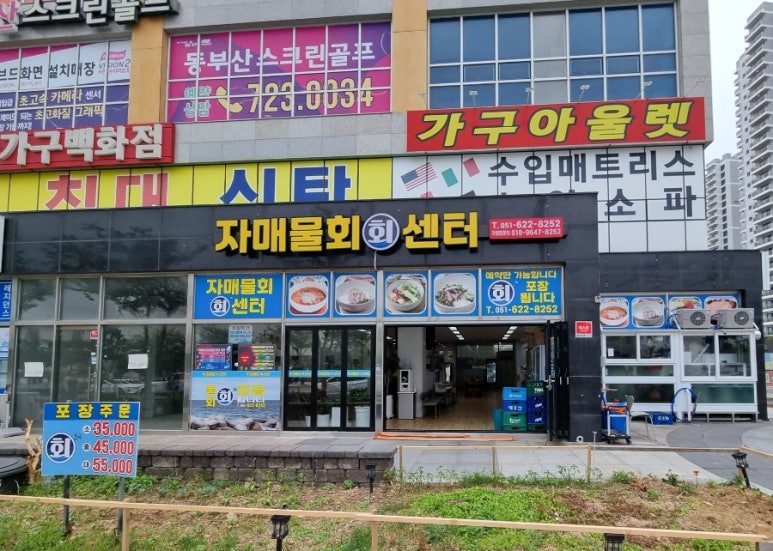 자매물회 이미지