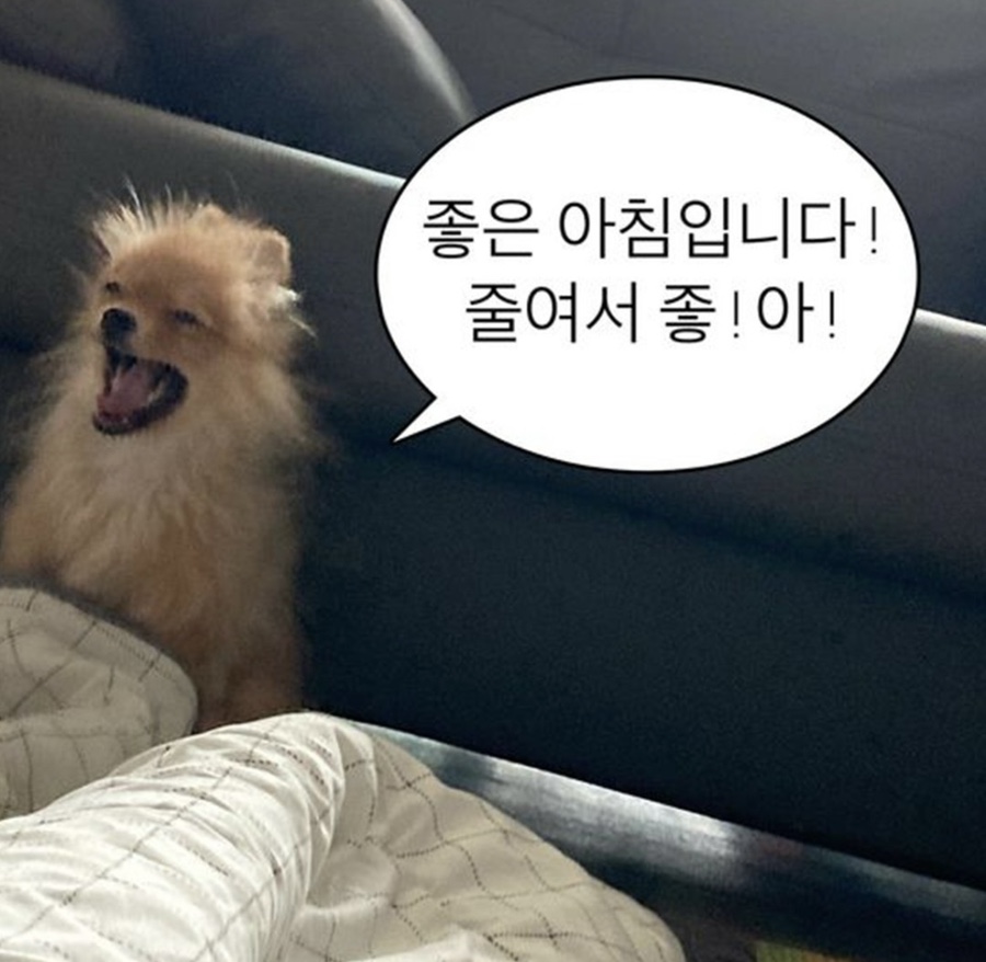 오자매양꼬치 이미지