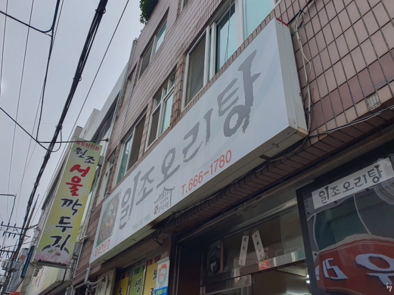 일조오리탕 이미지