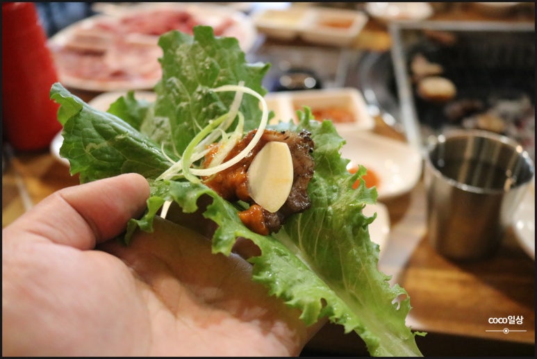놀란돼지 이미지