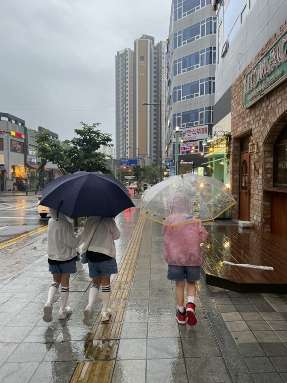 왕가탕후루 양주옥정점 이미지