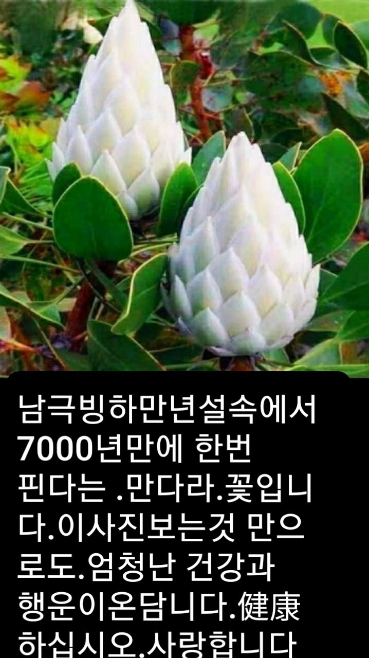 행복상사 이미지