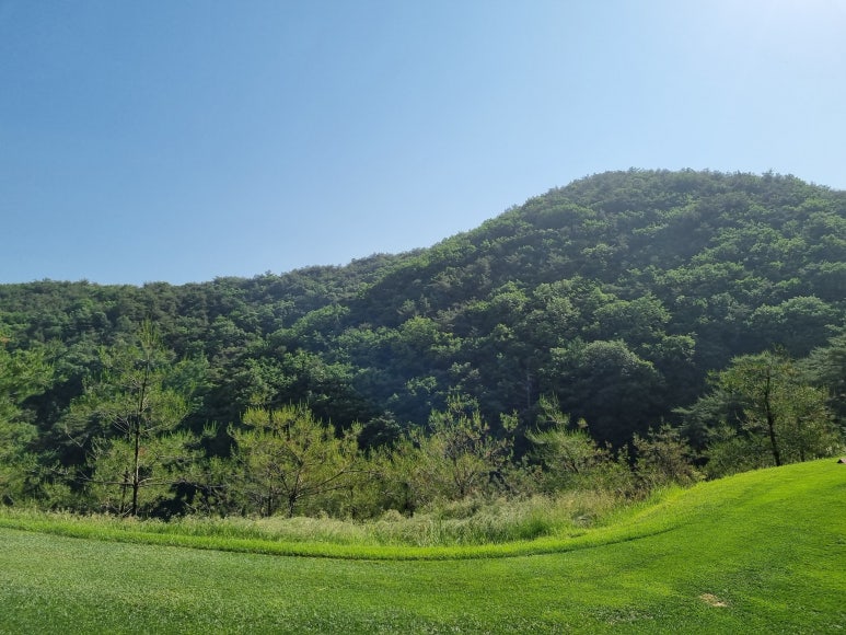 센테리움CC[금강센테리움(주)] 이미지