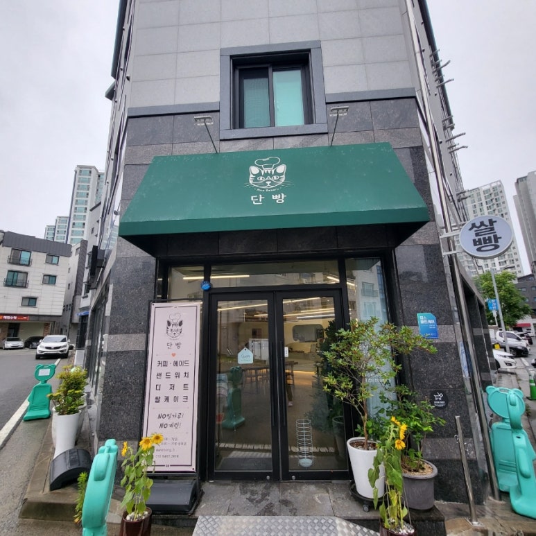 단빵 이미지