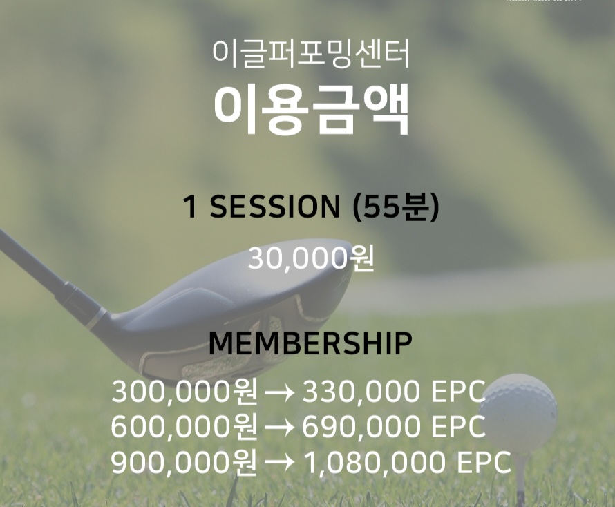 정골프 이미지