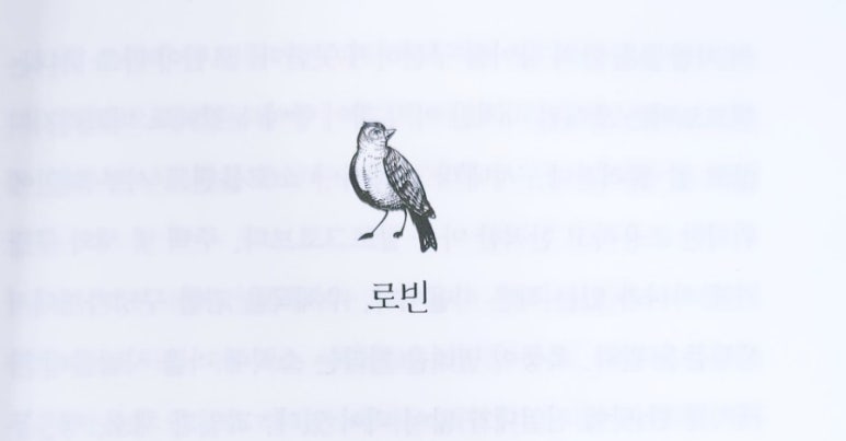 스피니 이미지
