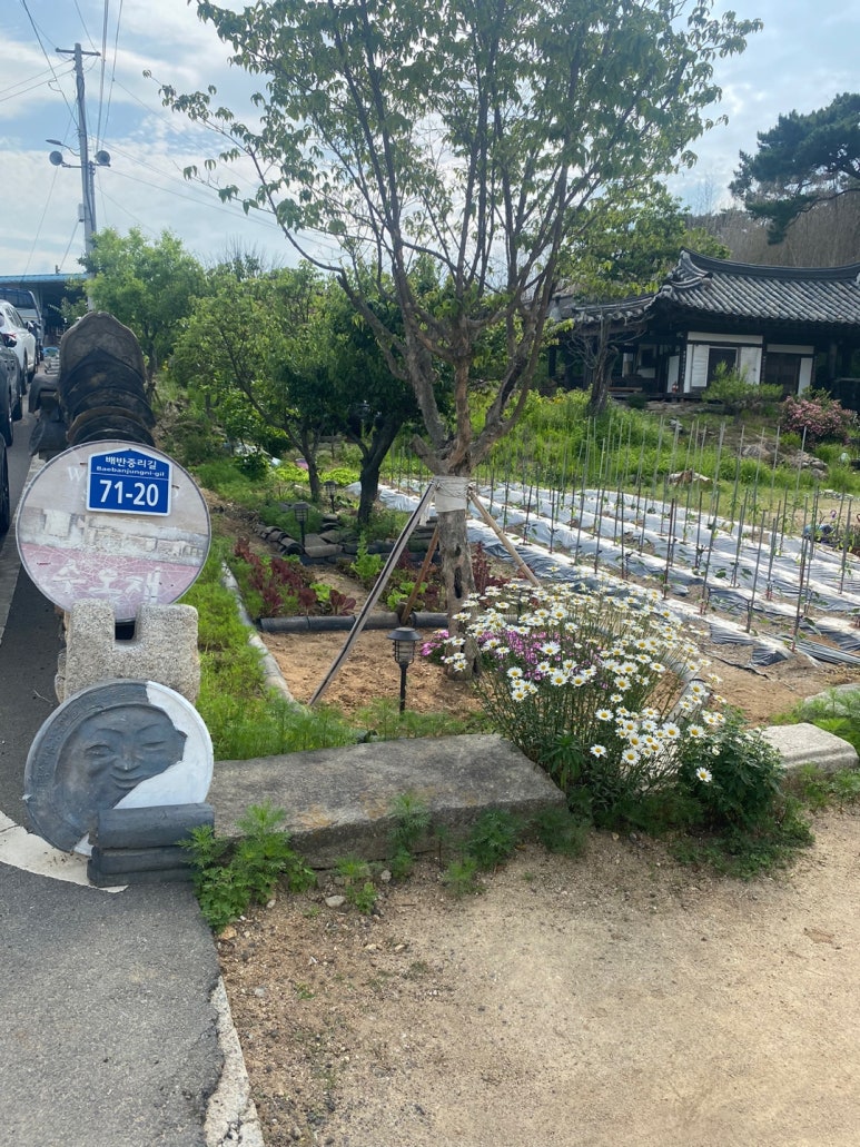 오*재 이미지