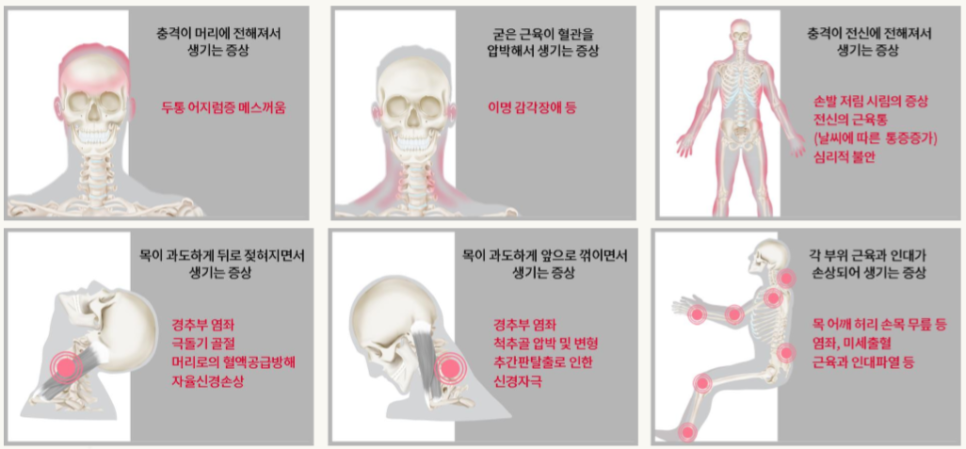거북이한의원 이미지