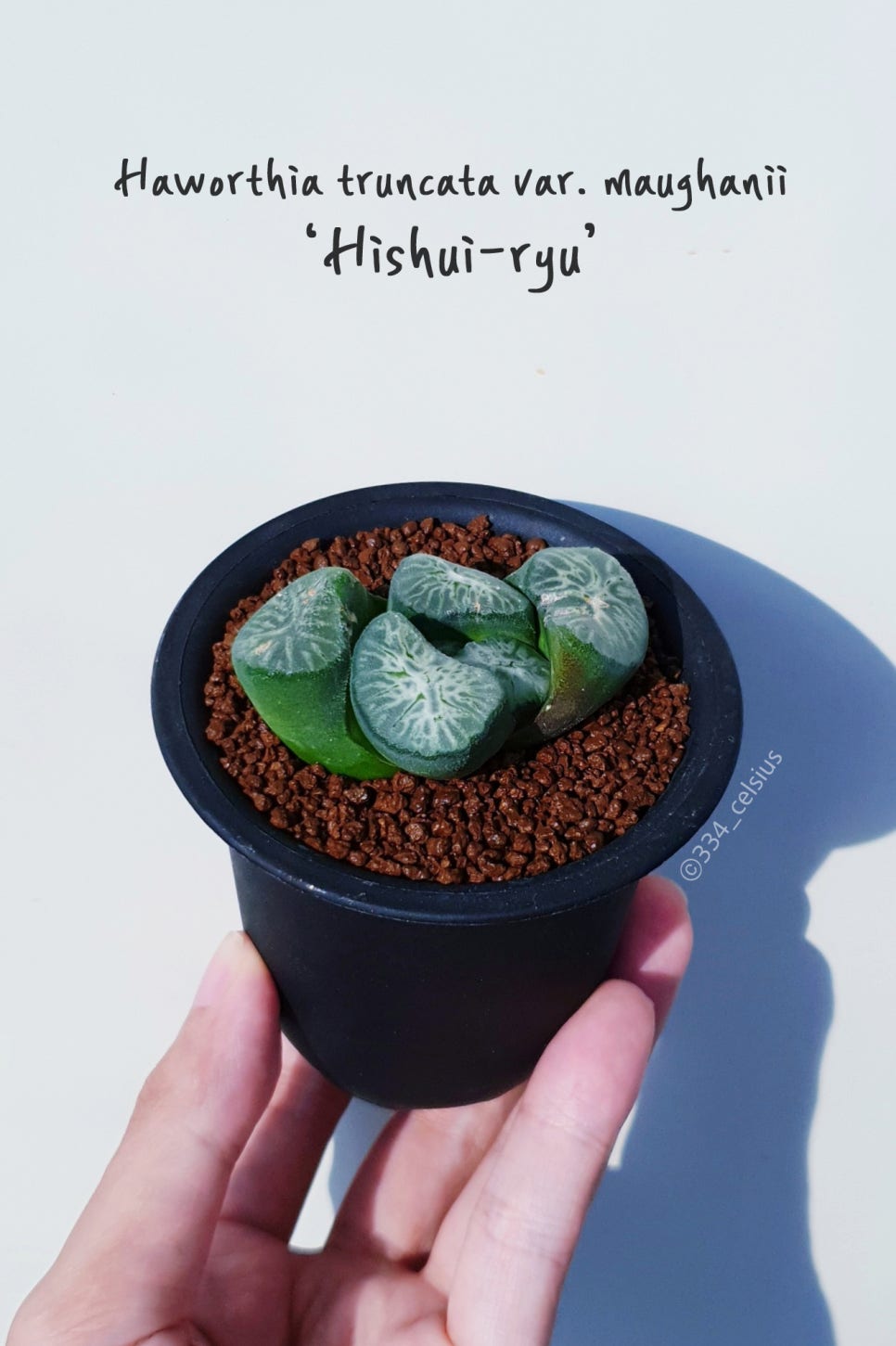 정명유통 이미지