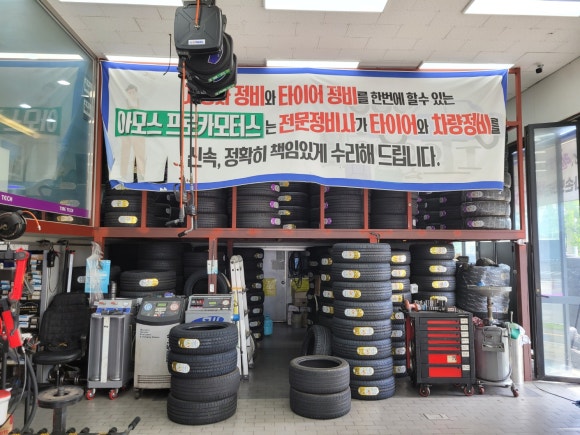 프로카모터스 이미지