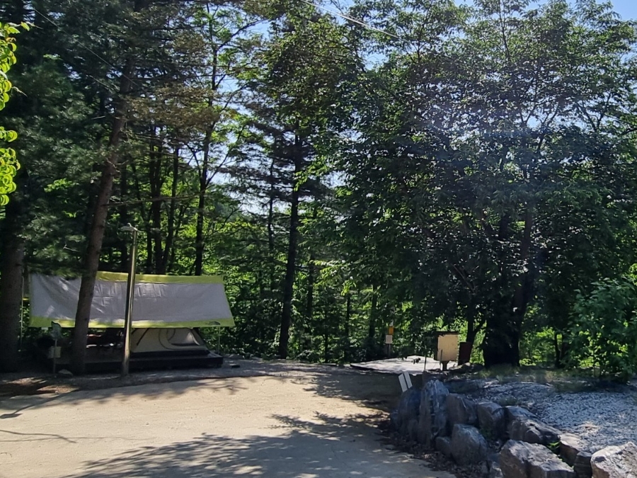 약수골막국수 이미지
