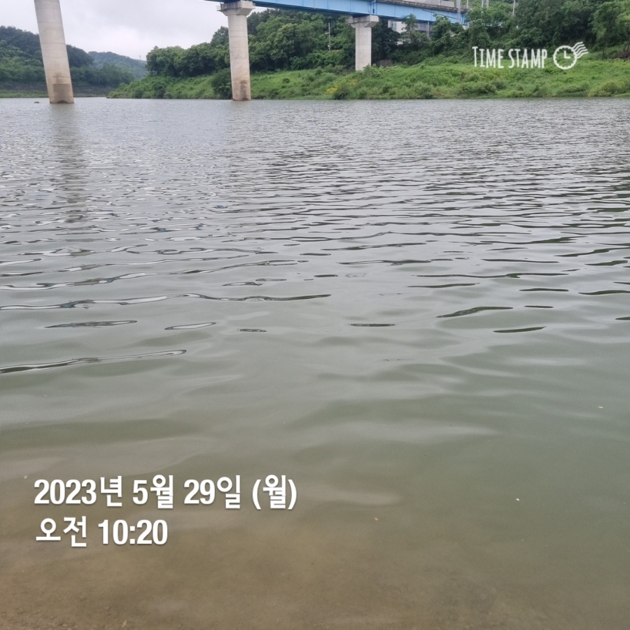 진주언니 이미지