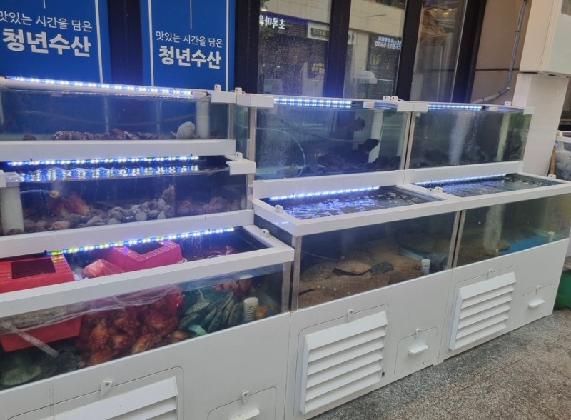 청년수산 이미지