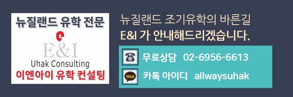 이엔아이유학컨설팅 이미지