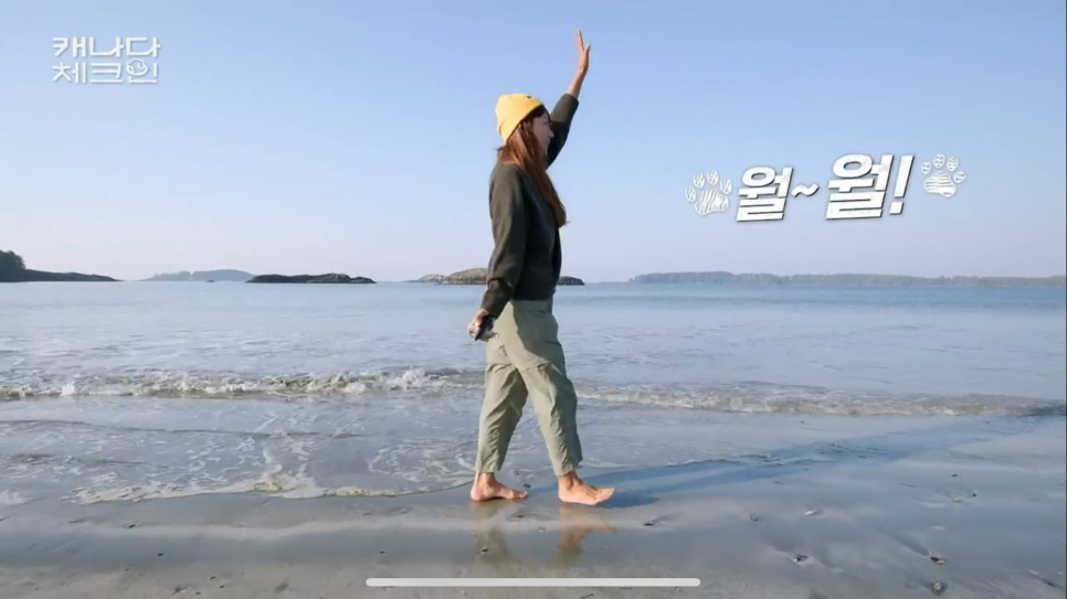 오엠지 이미지