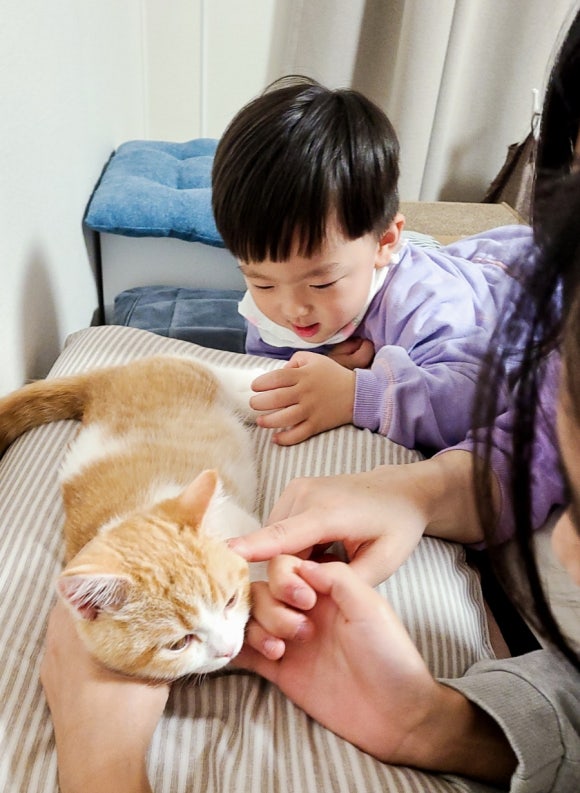 성운화원 이미지