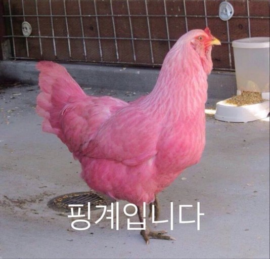 청밭 이미지