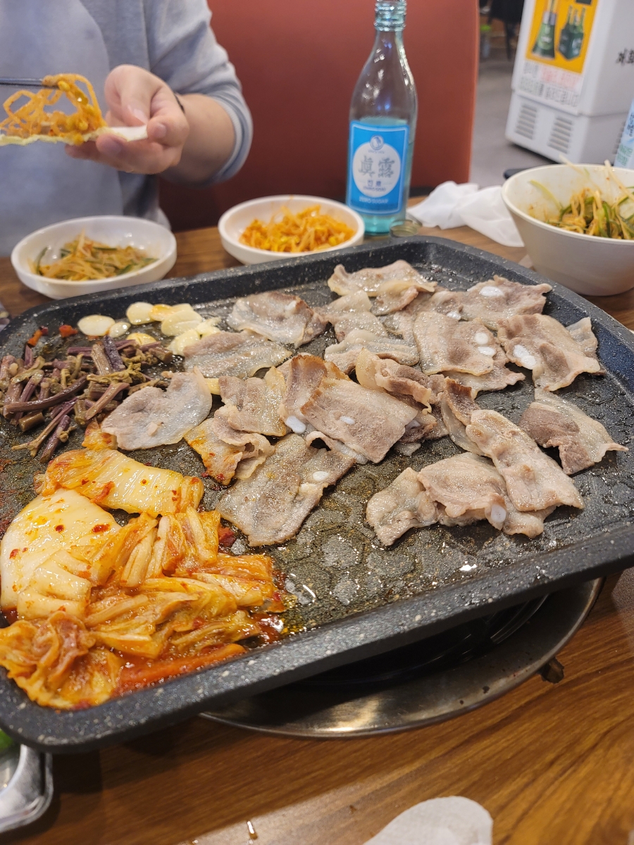 부라보회관목대 이미지
