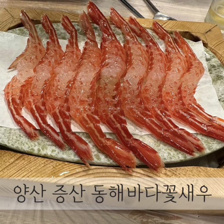 동해바다꽃새우 이미지