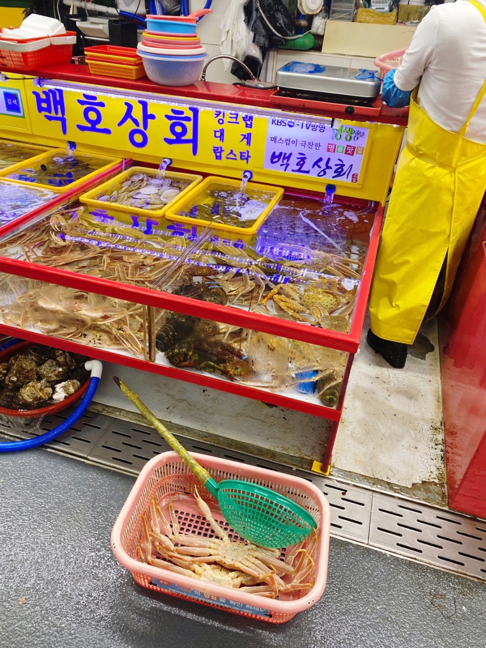 백호건어물 이미지