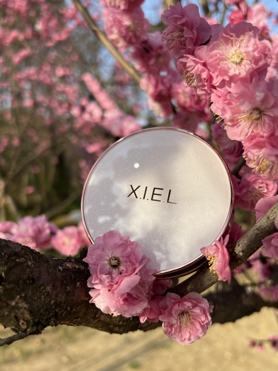 지엘(Xiel) 이미지