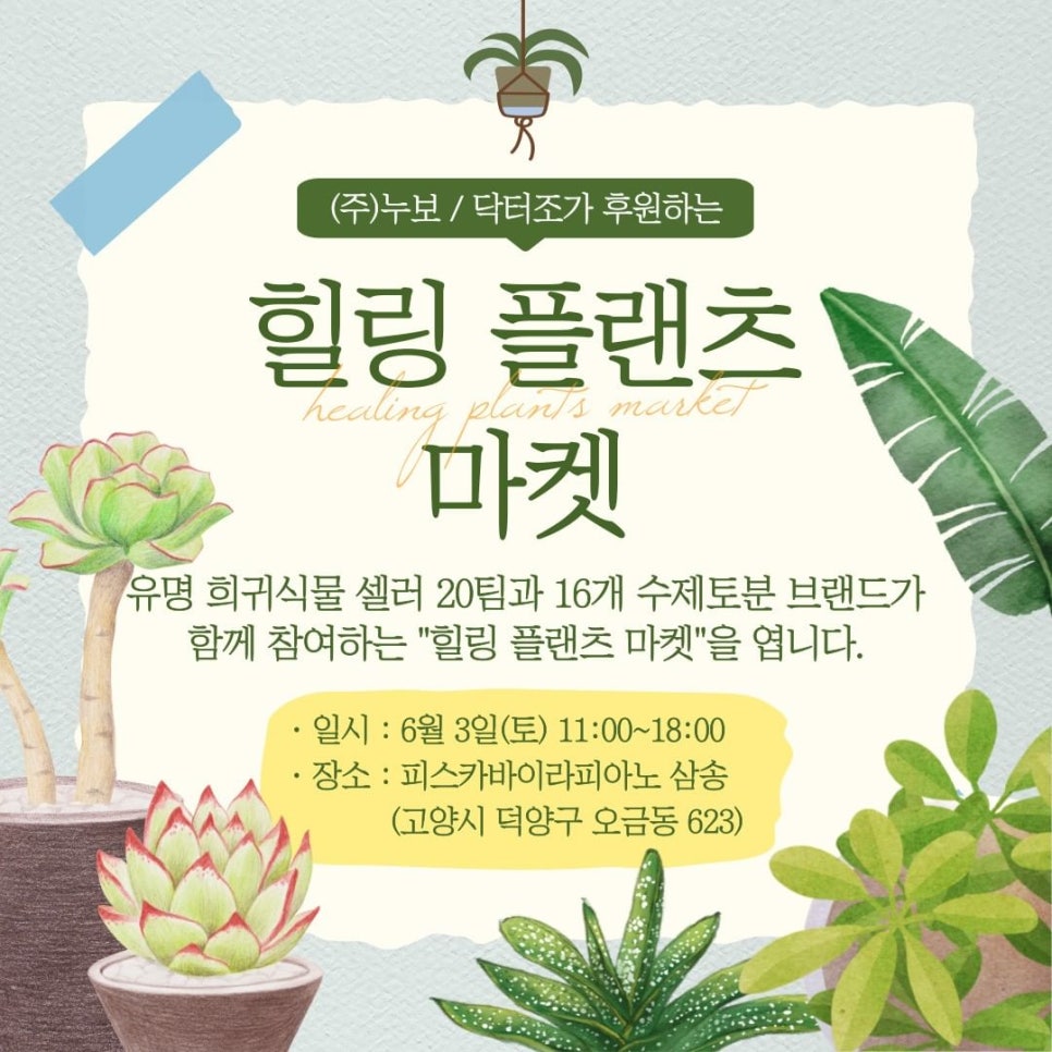 식집사마켓 이미지