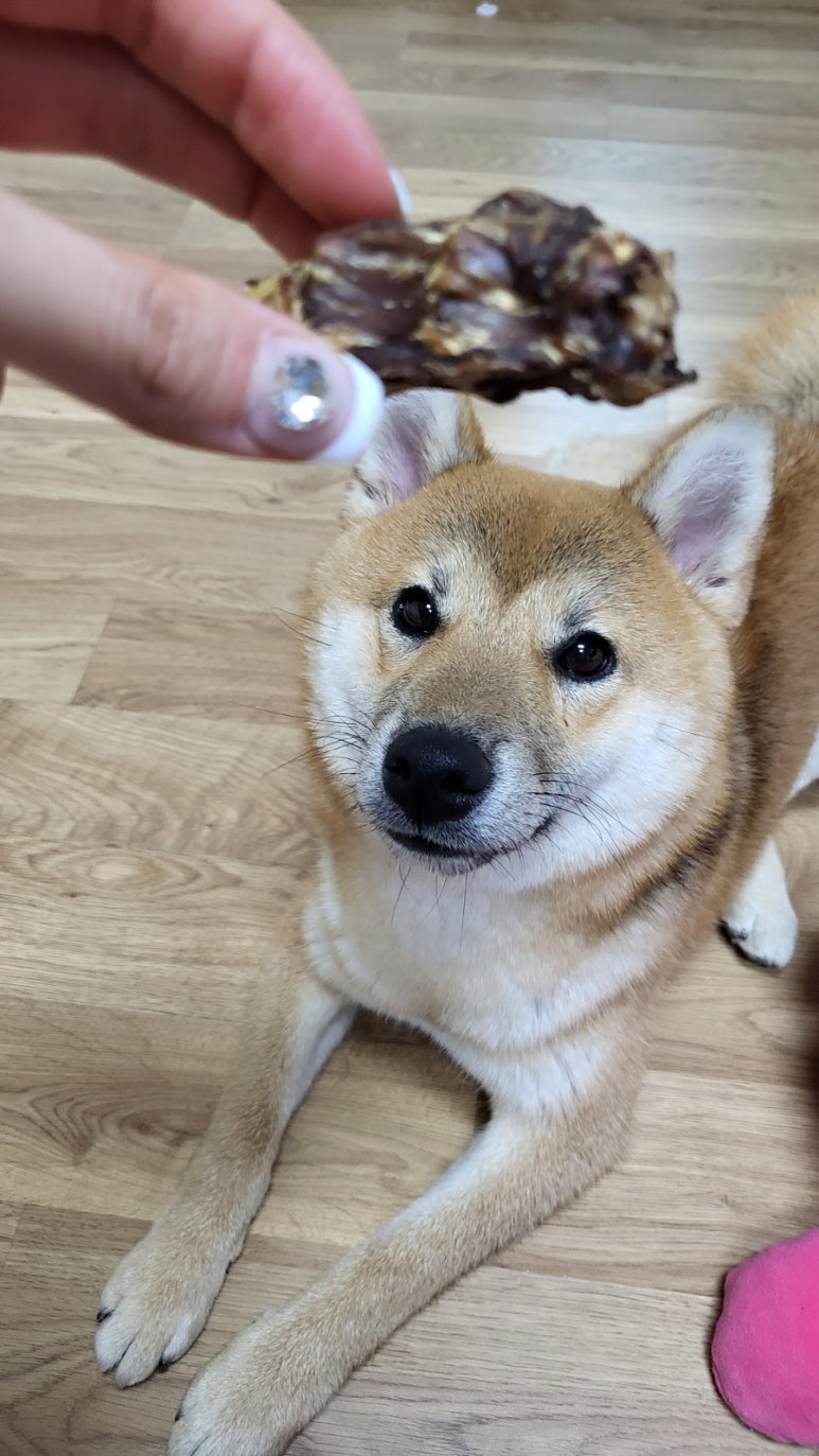 바름컴퍼니 이미지