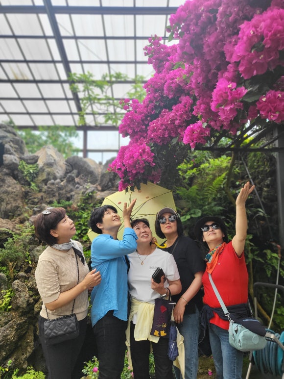 제주친구여행사 이미지