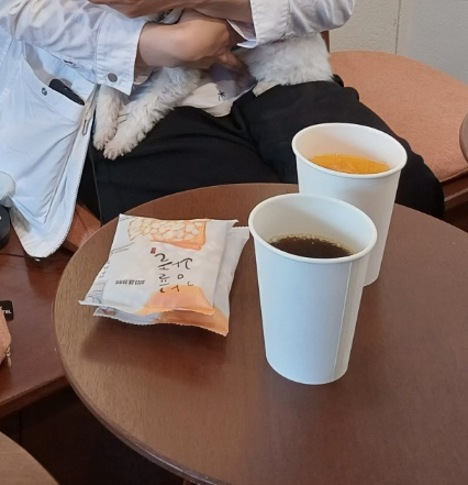 시점민박 이미지