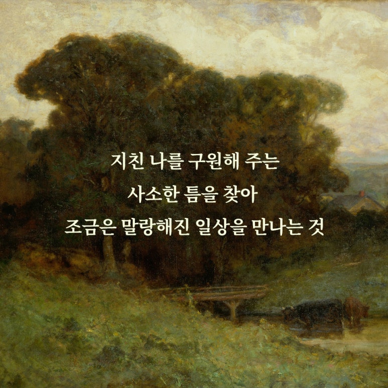 손끝발끝 이미지