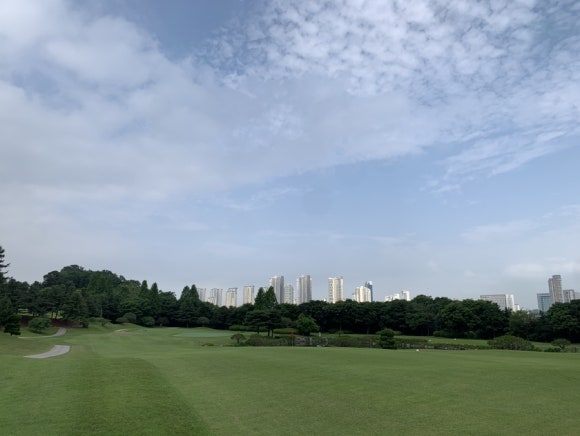 프로필드 이미지