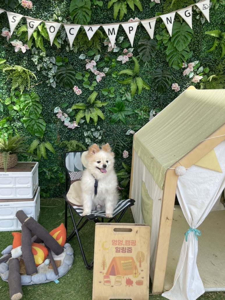 스타베이커리 이미지
