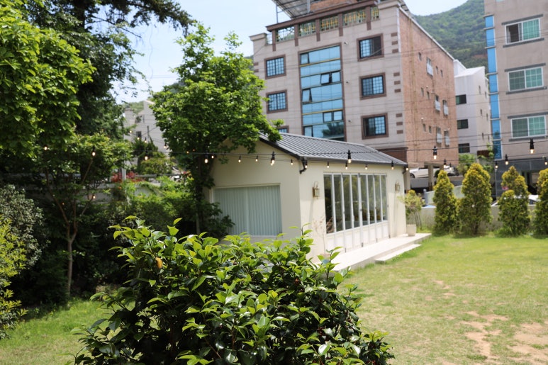 사랑스냅 이미지