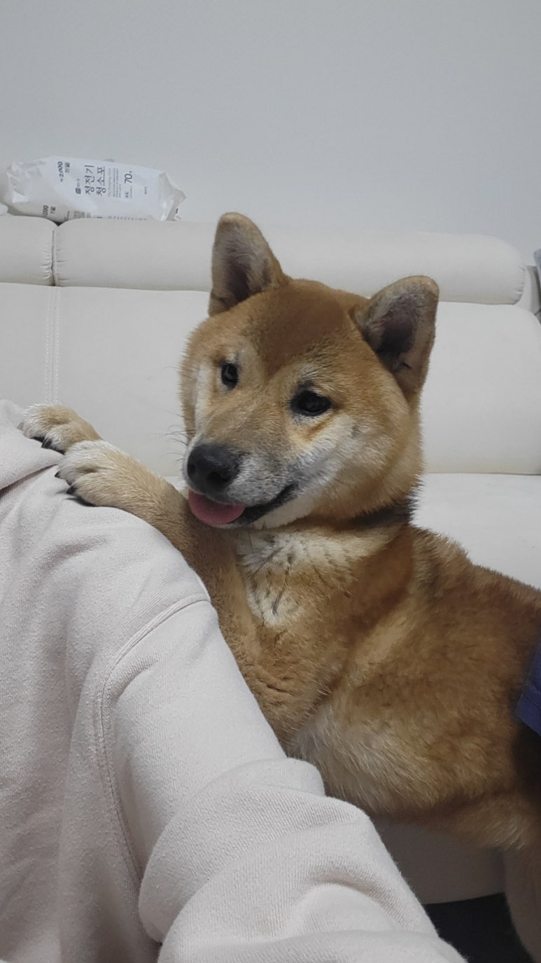 바름컴퍼니 이미지