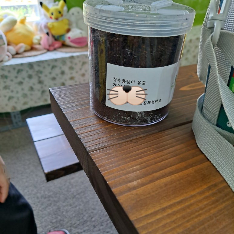 계당초등학교 이미지