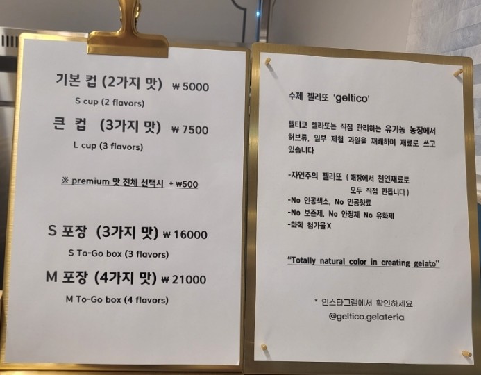 젤티코 이미지