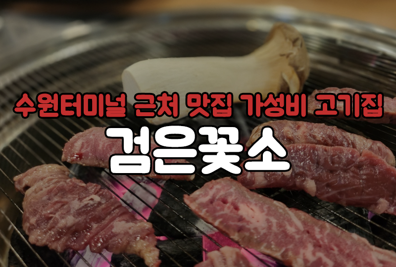 검은꽃소 이미지