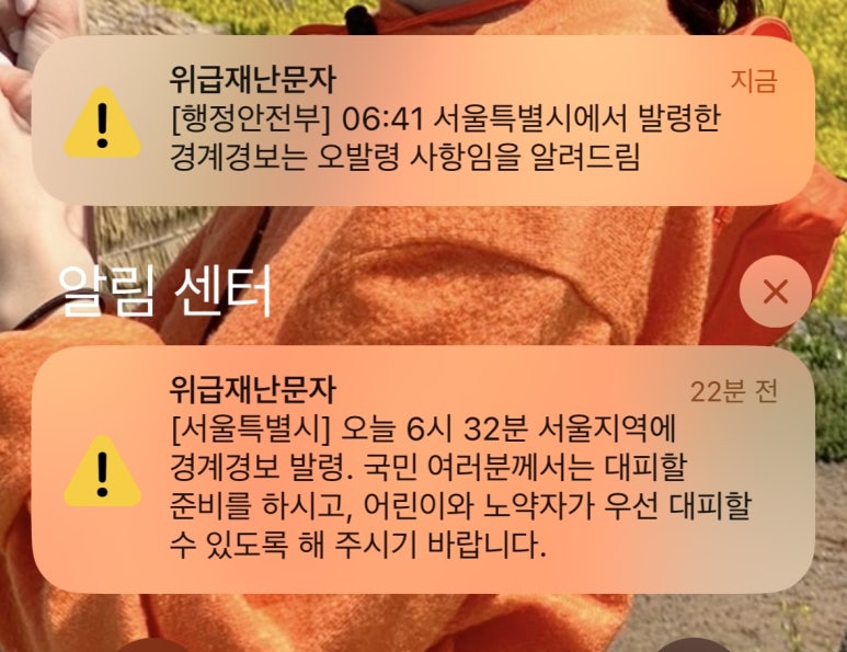 담트 이미지