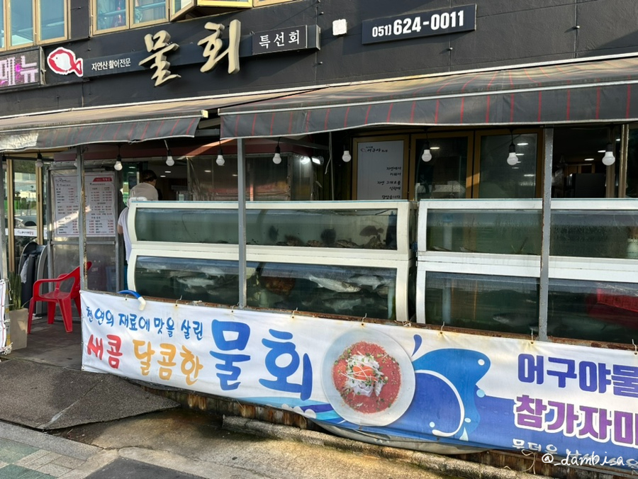 이기대어구야 이미지