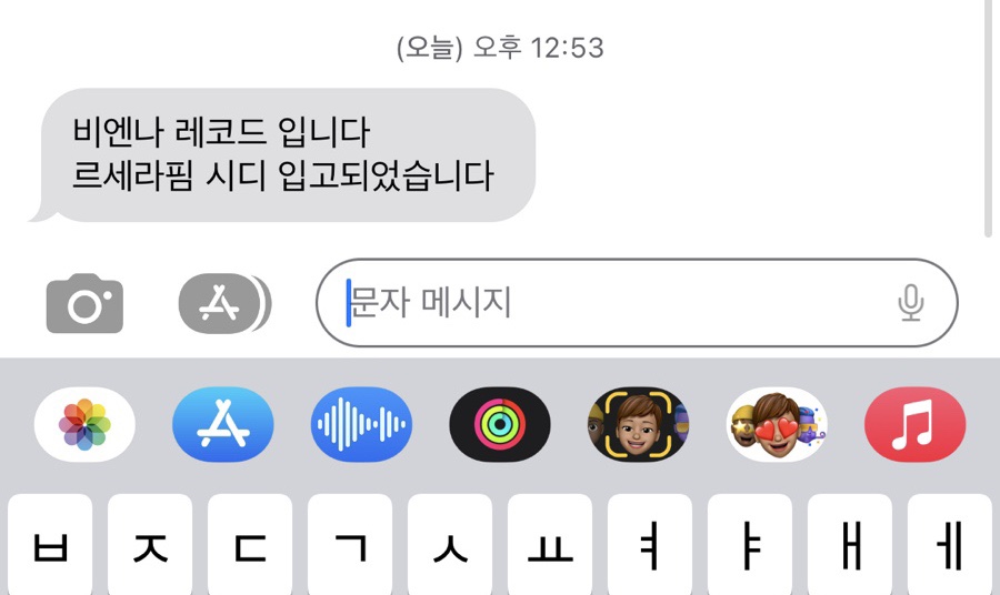 비엔나레코드 이미지