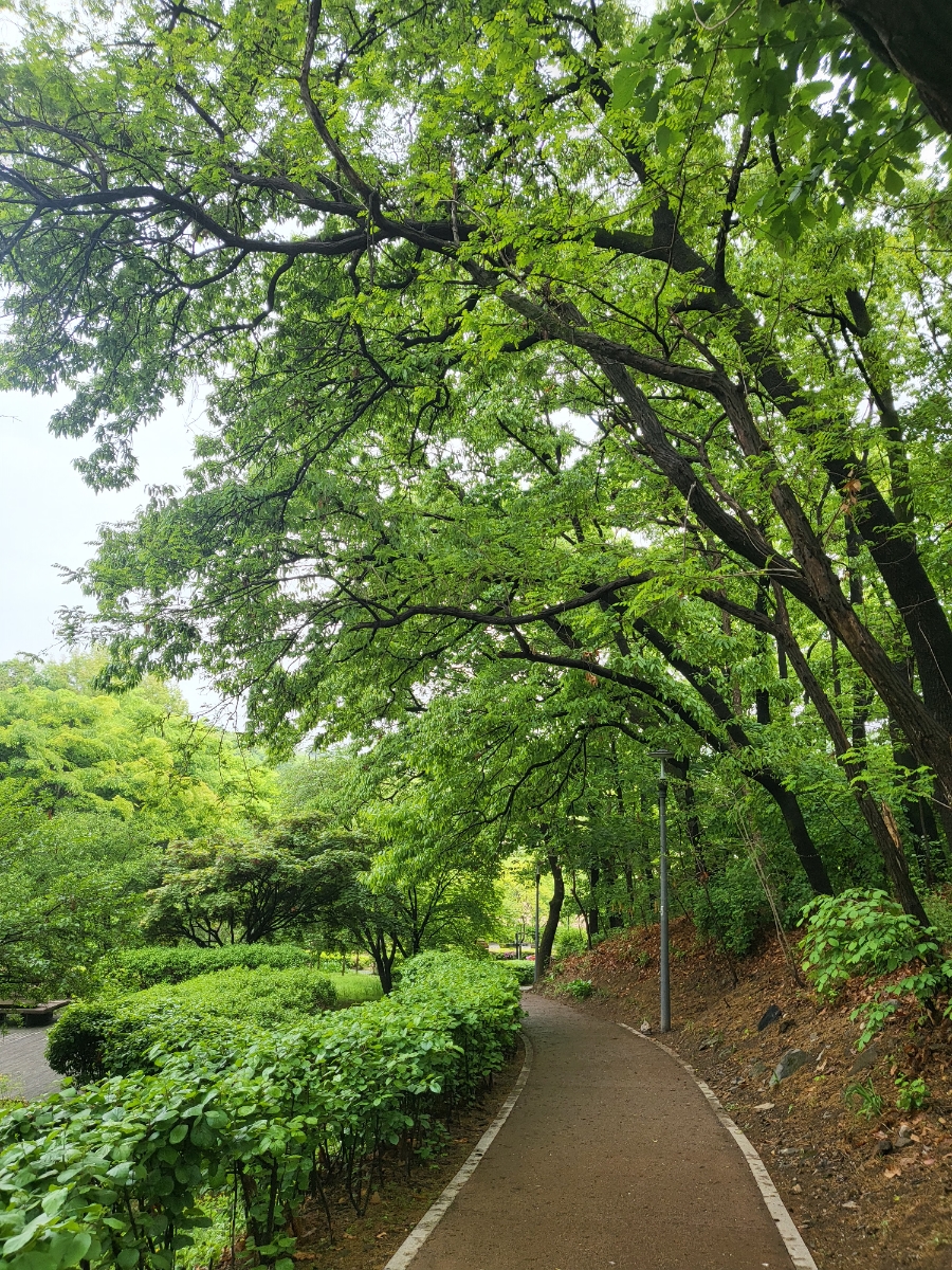 시골휴게점 이미지