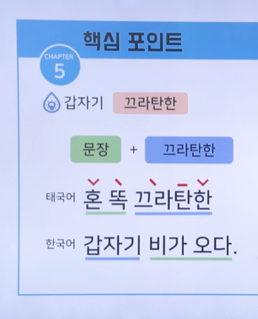 라쑤쑤 이미지