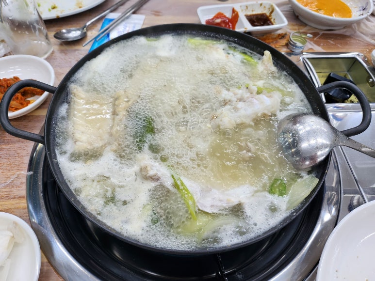 물보러가는날 이미지